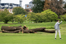 Park service could remove more than 500 trees at historic golf course Trump wants to redesign