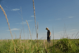 David Mueller stands in his Kernza field Tuesday, July 28, 2026, at his farm in Halstead, Kan. (AP Photo/Joshua A. Bickel)