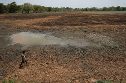 In drought-stricken Sri Lanka, farmers watch wells empty and wildlife crowd shrinking water holes