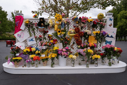 A memorial wall for Dolly Parton stands outside the Dollywood theme park in Pigeon Forge, Tenn., Wednesday, Aug. 26, 2026. (AP Photo/Camden Hall)