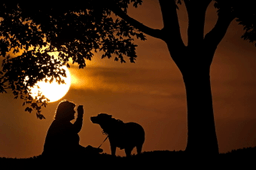 How daylight saving time changes affect you and what you can do about it