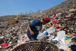 Komaruddin, a waste picker, looks for recyclable items in a pile of garbage at the Bantargebang landfill on the outskirts of Jakarta, Indonesia, Monday, July 6, 2026. (AP Photo/Tatan Syuflana)