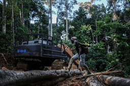 Suriname's Saamaka tribe turns to mapping and documenting in effort to protect the Amazon rainforest